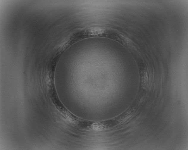 X0000060570608200511031311