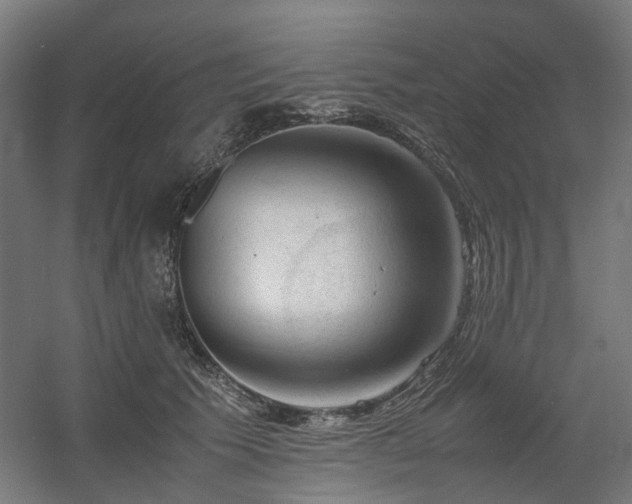 X0000060570609200511031311
