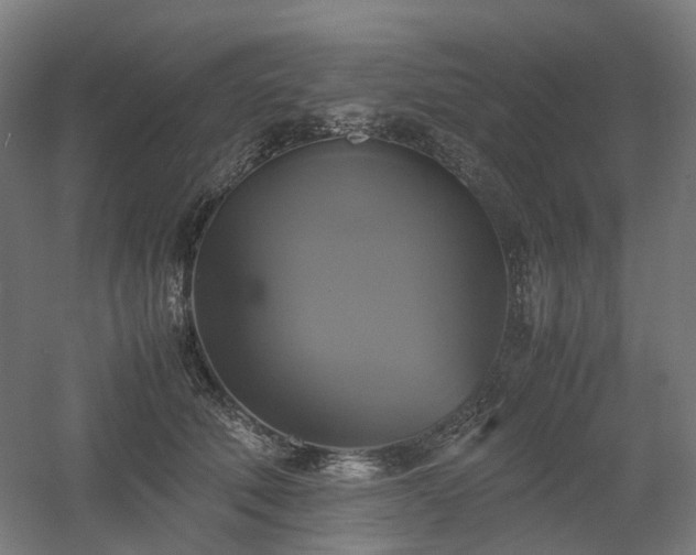 X0000060570610200511031311