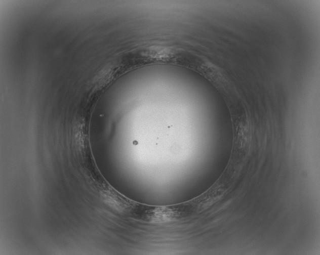 X0000060570612200511031311