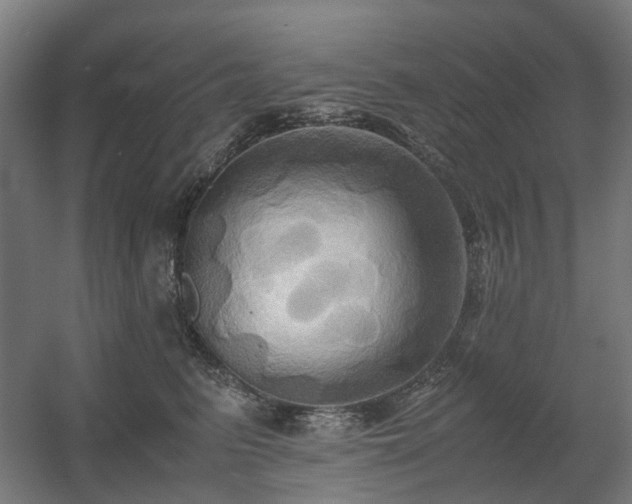 X0000060570615200511031311