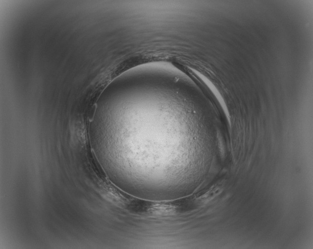 X0000060570617200511031311