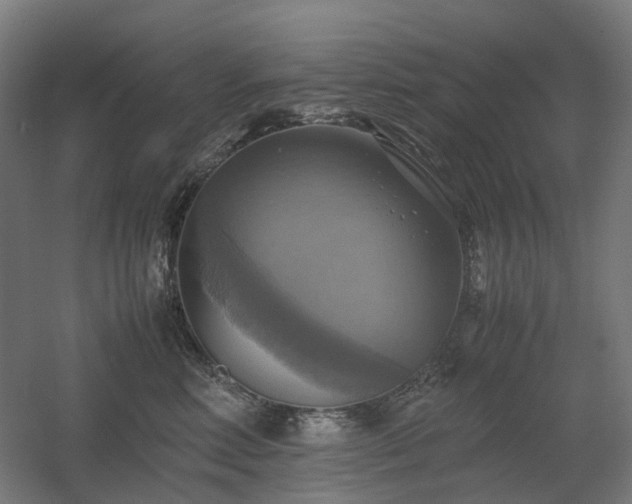 X0000060570618200511031311