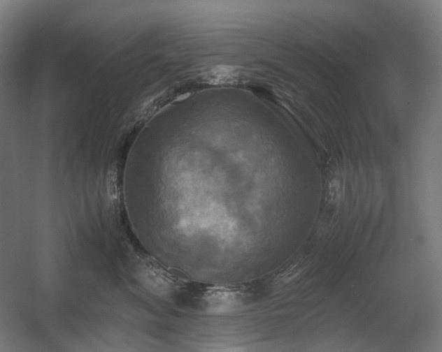 X0000060570620200511031311