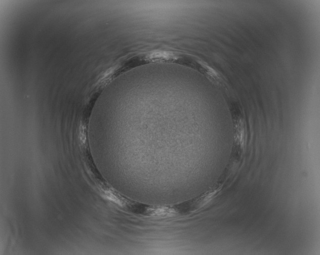 X0000060570621200511031311