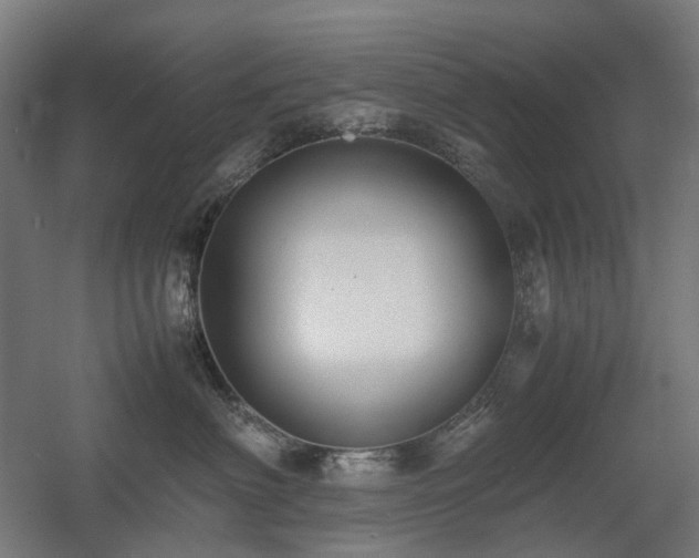 X0000060570622200511031311