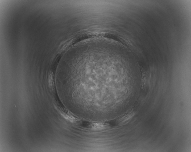 X0000060570623200511031311
