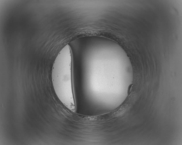 X0000060570624200511031311
