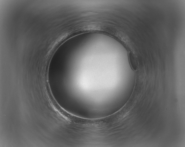 X0000060570625200511031310