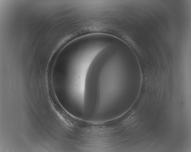X0000060570626200511031310