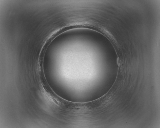 X0000060570628200511031310