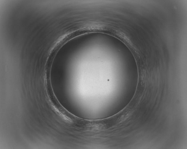 X0000060570629200511031310