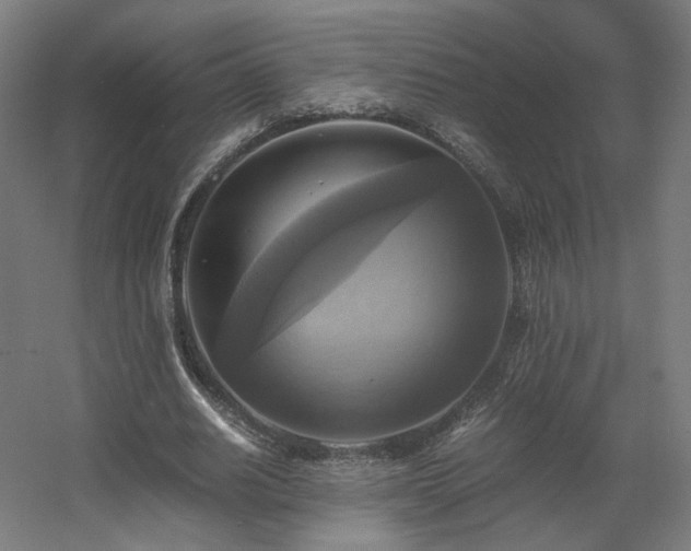 X0000060570630200511031310
