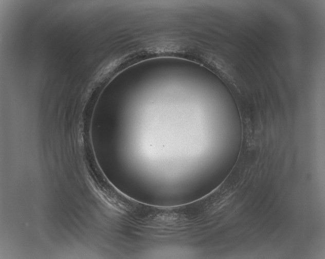 X0000060570631200511031310