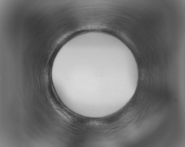 X0000060570632200511031310