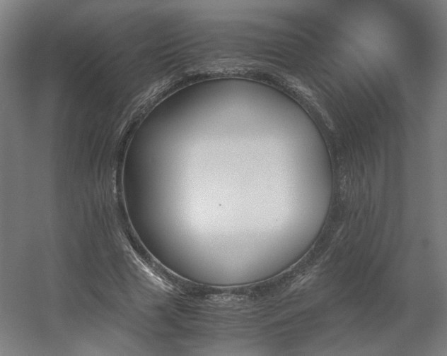 X0000060570633200511031310