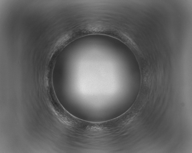 X0000060570635200511031310