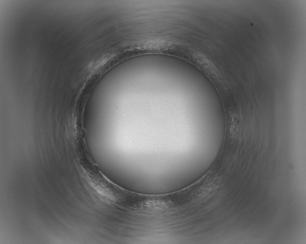 X0000060570636200511031310