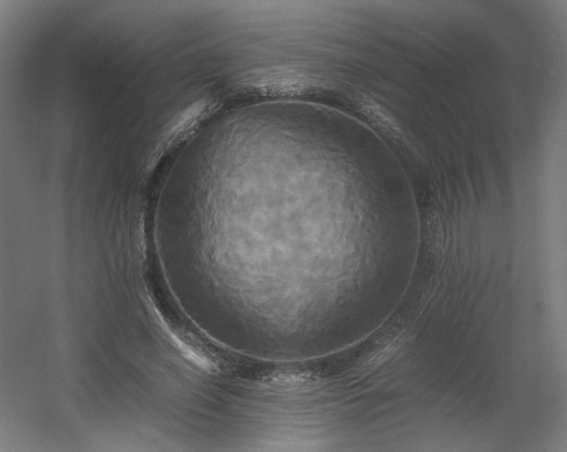 X0000060570638200511031310