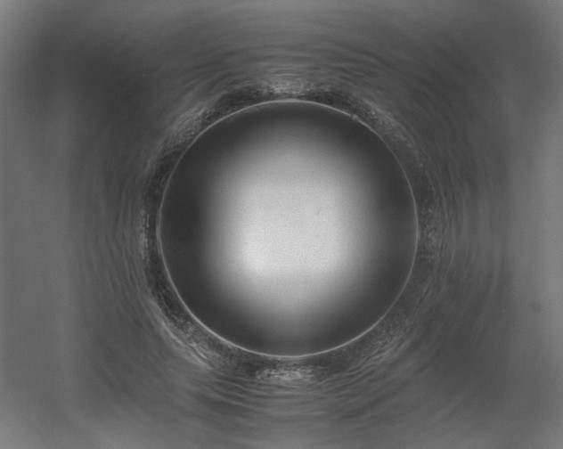 X0000060570639200511031310