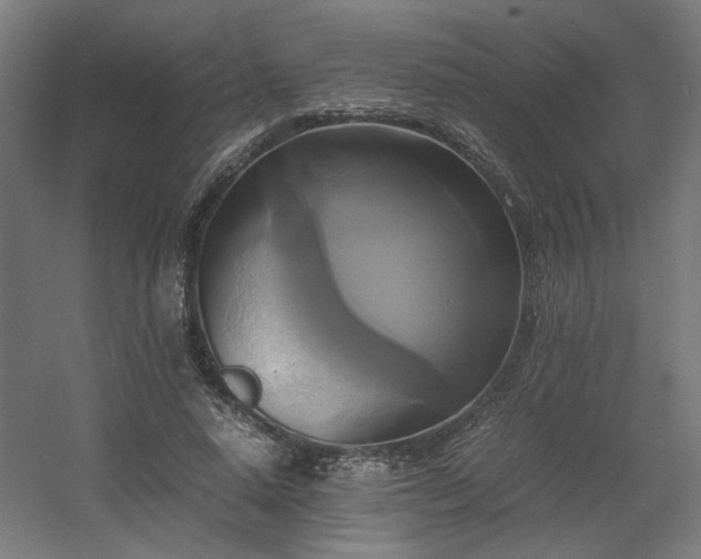 X0000060570640200511031310