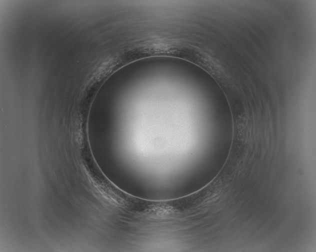 X0000060570642200511031310