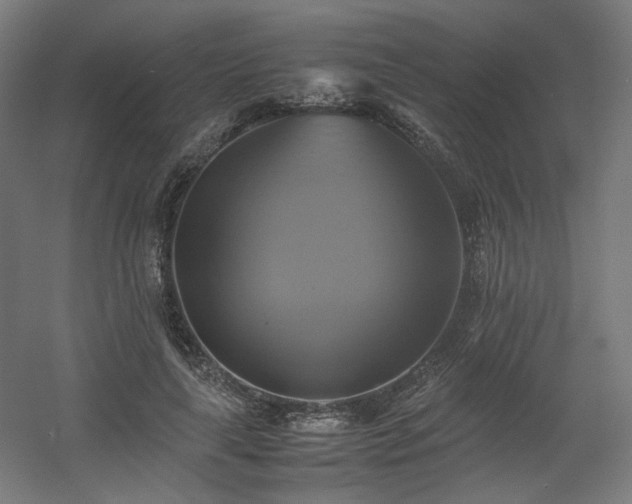 X0000060570643200511031310