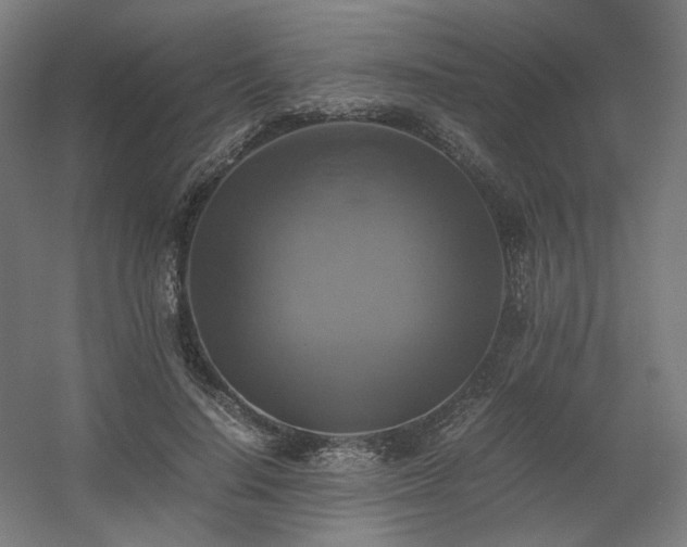 X0000060570644200511031310