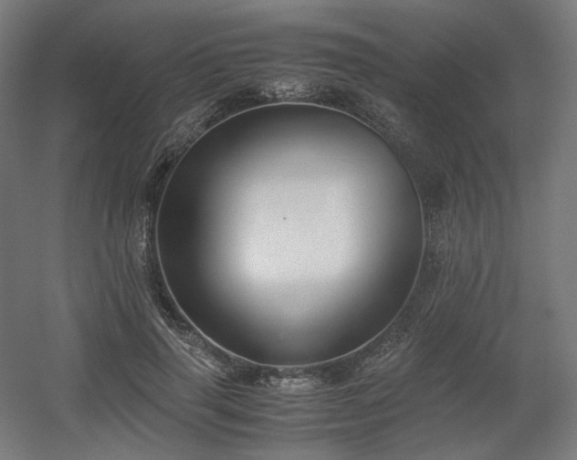 X0000060570645200511031310