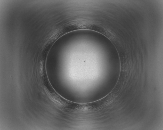 X0000060570646200511031310