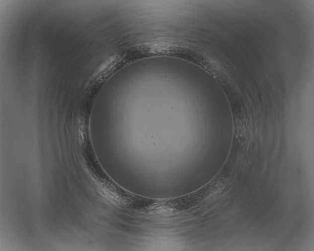 X0000060570648200511031310