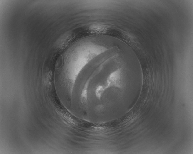 X0000060570649200511031310