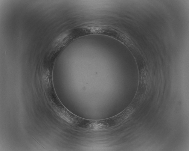 X0000060570650200511031310