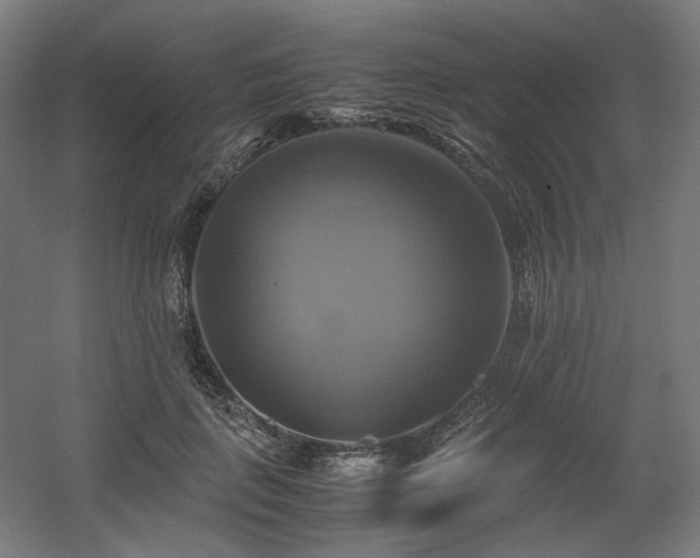 X0000060570651200511031310