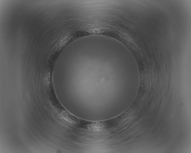 X0000060570652200511031310