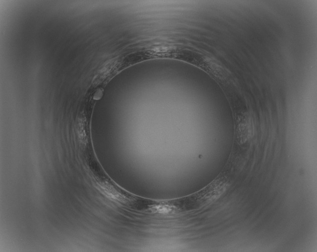 X0000060570654200511031311