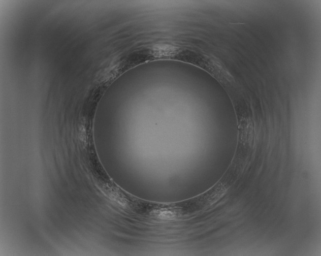 X0000060570655200511031311