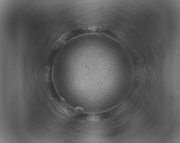 X0000060570656200511031311