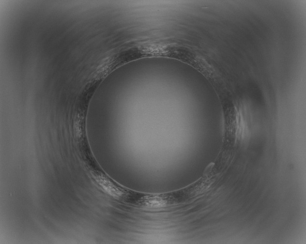 X0000060570658200511031311