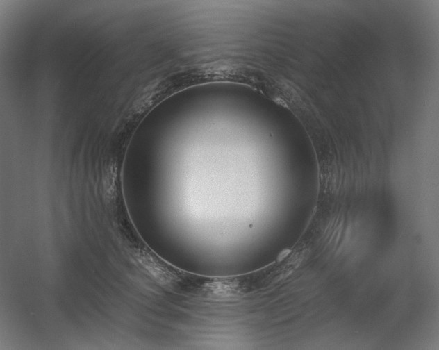 X0000060570660200511031311
