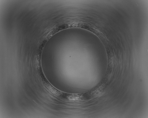 X0000060570661200511031311