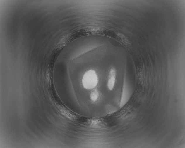 X0000060570662200511031311