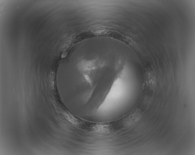 X0000060570664200511031311