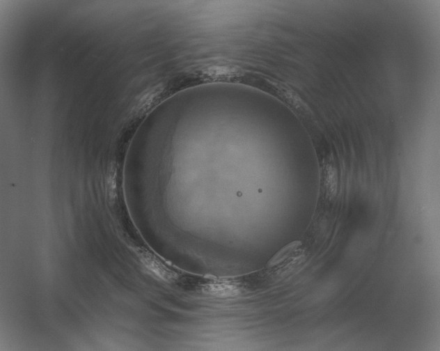 X0000060570668200511031311
