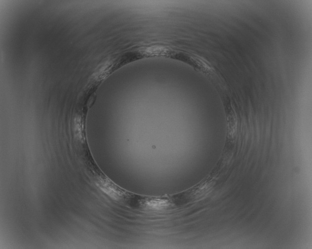 X0000060570669200511031311