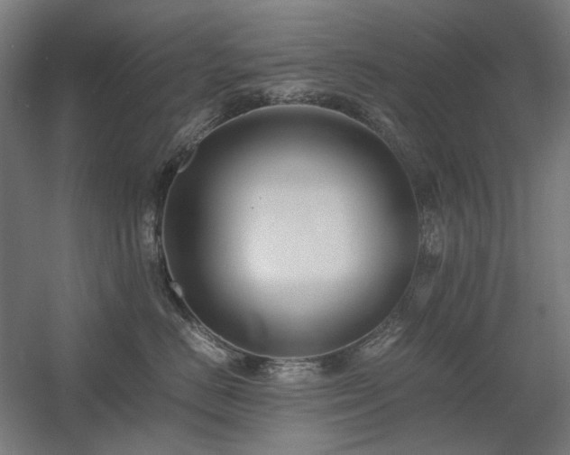 X0000060570670200511031311