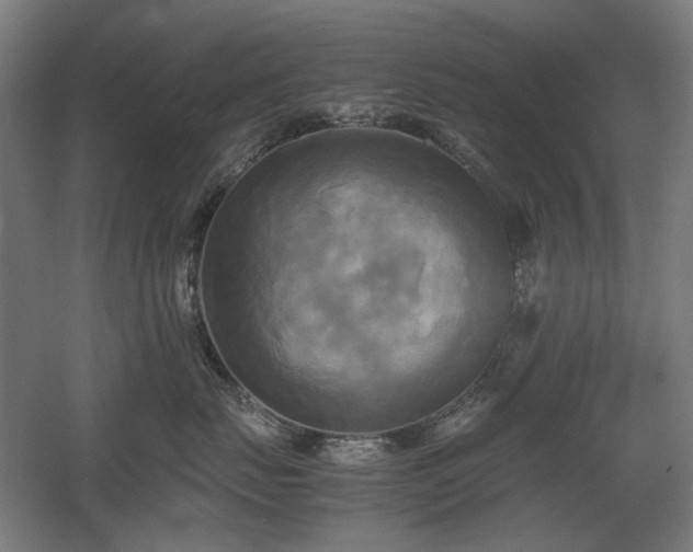 X0000060570671200511031311