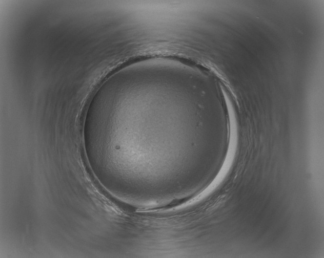 X0000060570673200511031310