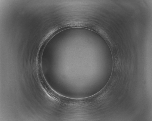 X0000060570674200511031310