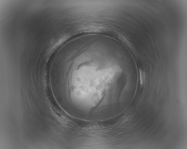 X0000060570675200511031310